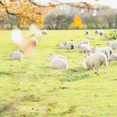 Hébergement de vacances Barn Near With Hot Tub - Perfect For Groups And Families