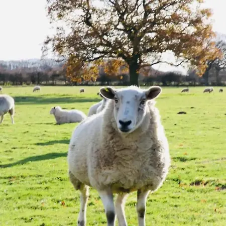 Barn Near With Hot Tub - Perfect For Groups And Families * York