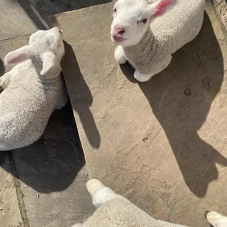 Barn Near With Hot Tub - Perfect For Groups And Families York