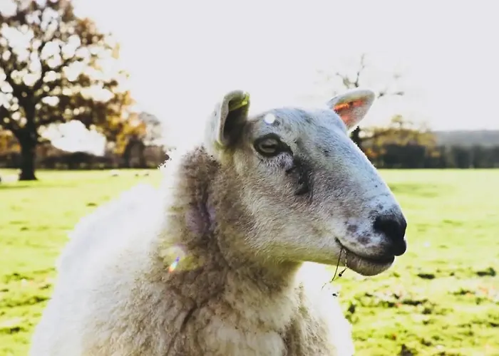 Barn Near With Hot Tub - Perfect For Groups And Families Semesterbostad