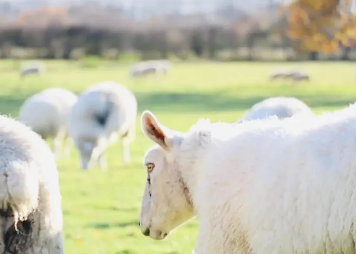 Barn Near With Hot Tub - Perfect For Groups And Families Semesterbostad *
