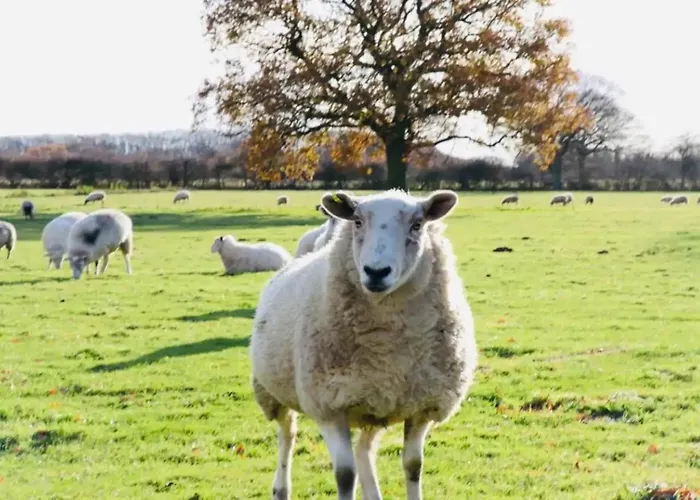 Barn Near With Hot Tub - Perfect For Groups And Families * York