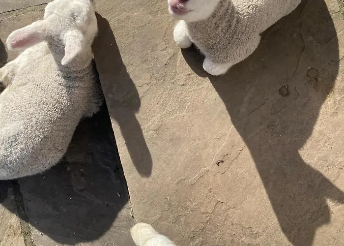 Barn Near With Hot Tub - Perfect For Groups And Families York