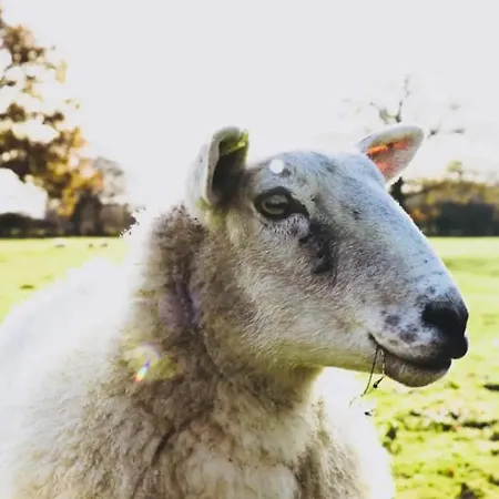 Barn Near With Hot Tub - Perfect For Groups And Families Feriehus
